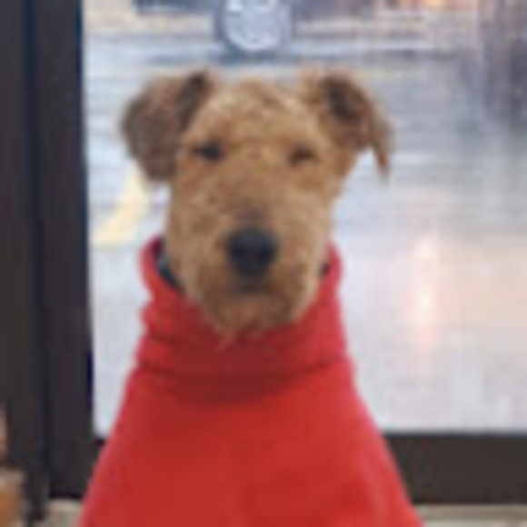 Meet your Posher, Erika - Picture 1 of 1